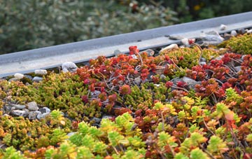 the cost of Nyton green roof installation