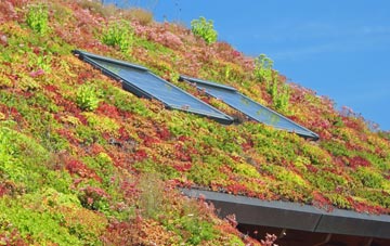 Nyton living roof systems