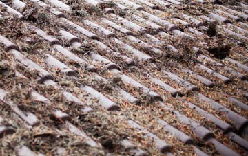 Nyton roof cleaning companies