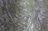 Nyton fibreglass roof work